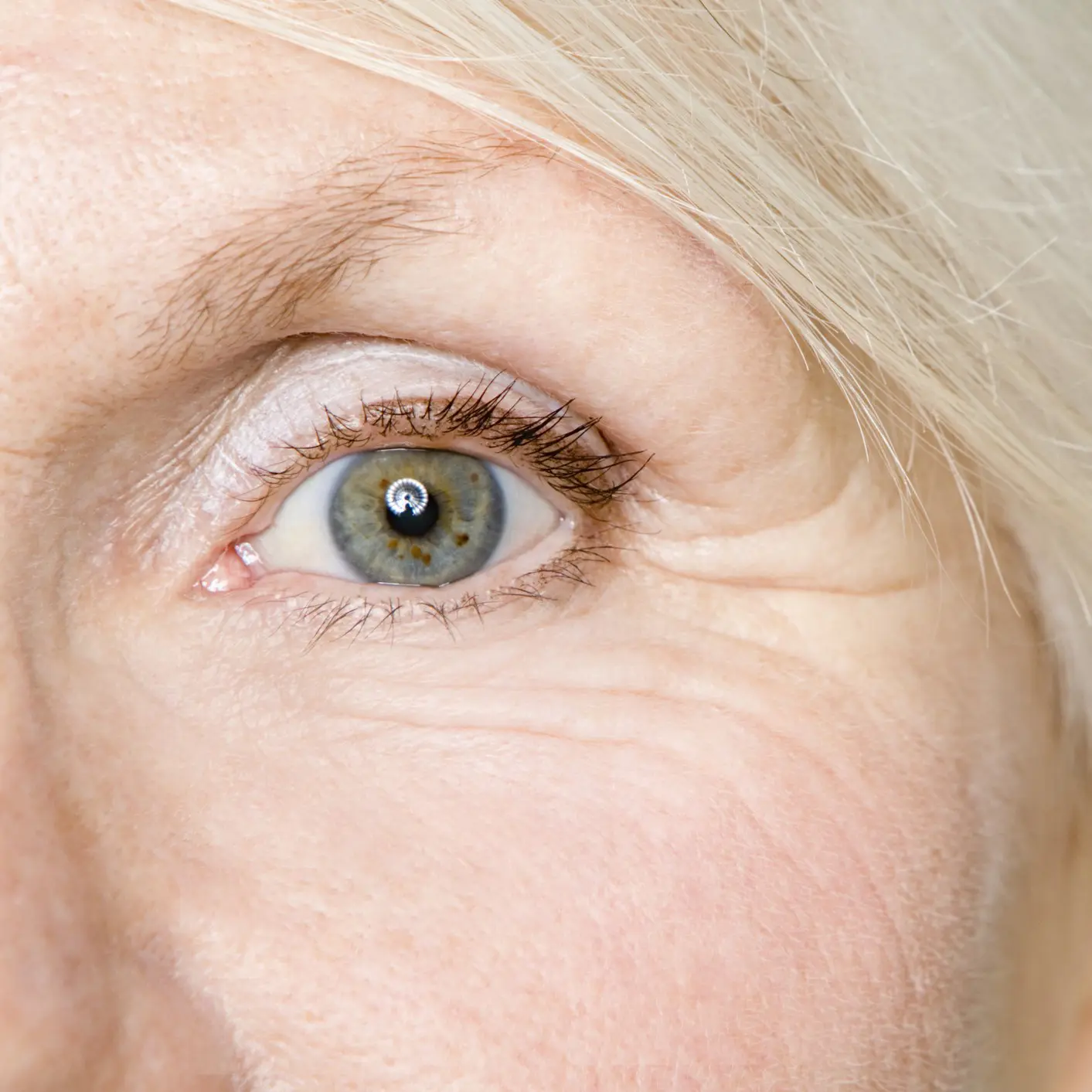 Detailed view of a mature eye